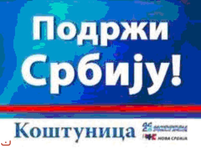 Демократическая партия Сербии - Демократска странка Србиje_7