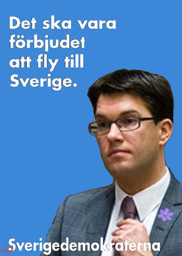 Шведские демократы Sverigedemokraterna_15