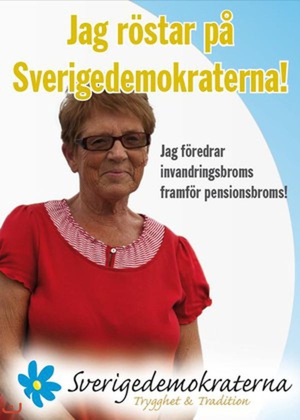 Шведские демократы Sverigedemokraterna_17