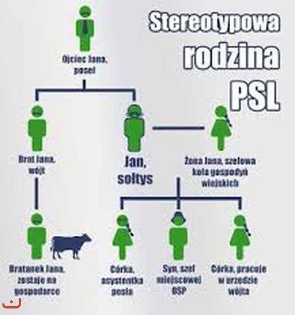 Польская крестьянская партия_19