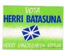 Единство басков- Batasuna_11