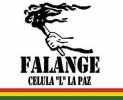 Испанская Фаланга - Falange Española_61