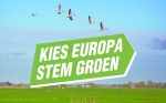 Зелёные левые - GroenLinks_19
