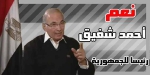 Ахмед Шафик - Египет для всех_8