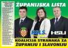Хорватская демократическая крестьянская партия_5
