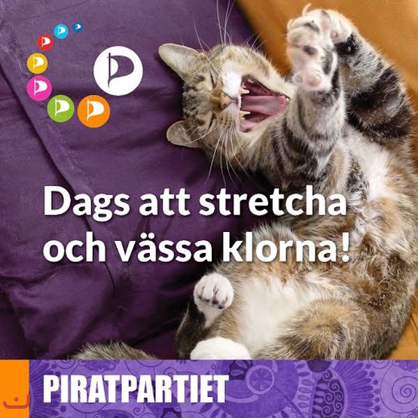 Пиратская партия Piratpariet_2