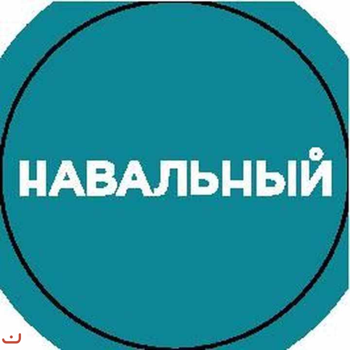 АПМ и акции Навального в Москве_34