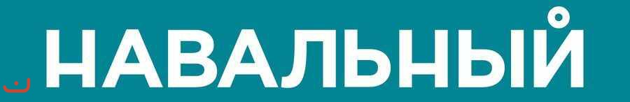 АПМ и акции Навального в Москве_71