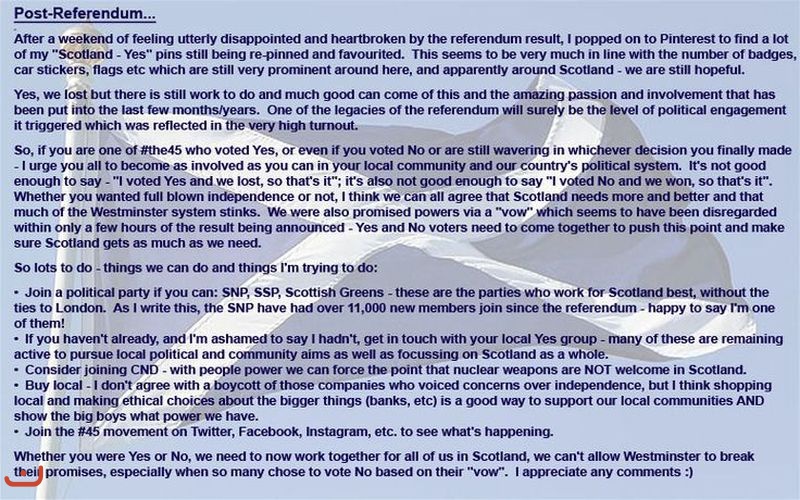 Шотландцы за независимость_83