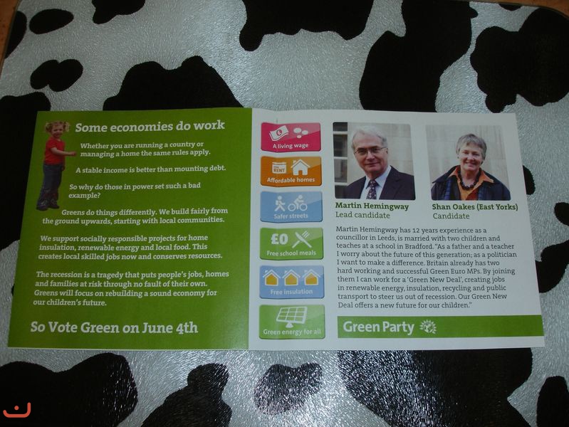 Партия Зелёных - Green Party_38