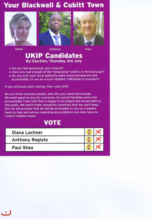 Партия независимости UKIP_13