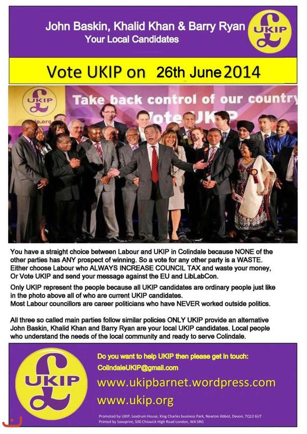 Партия независимости UKIP_25