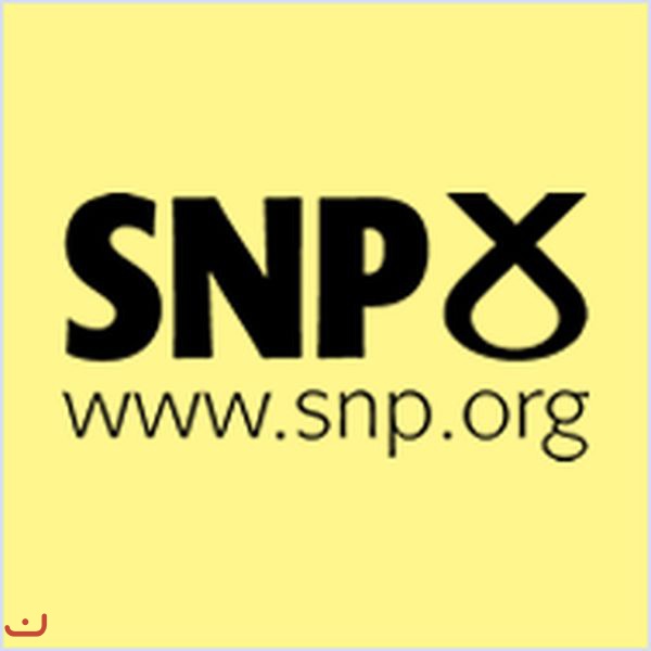 Шотландская национальная партия - SNP_3